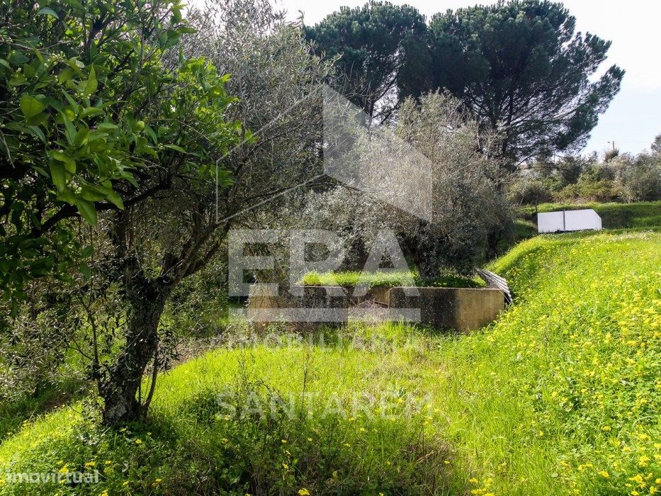 Terreno com cerca de 1 Hectare