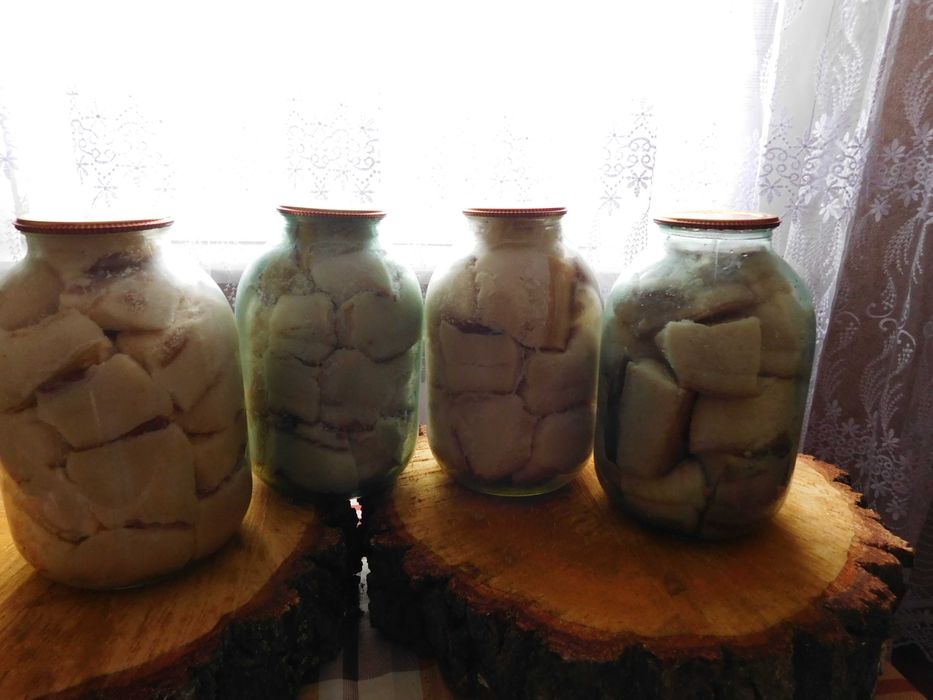 Сало в банках солене
