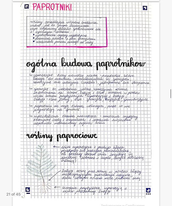 Notatki maturalne biologia; matura 2023 poziom rozszerzony