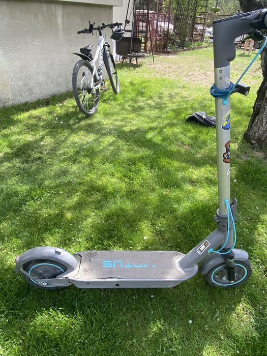 Hulajnoga Motus Scooty 10 plus