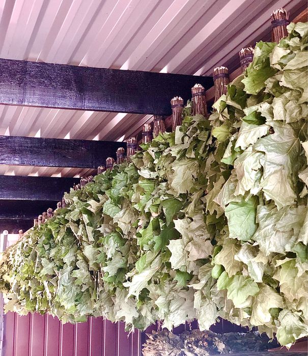 Банні віники: березові та дубові