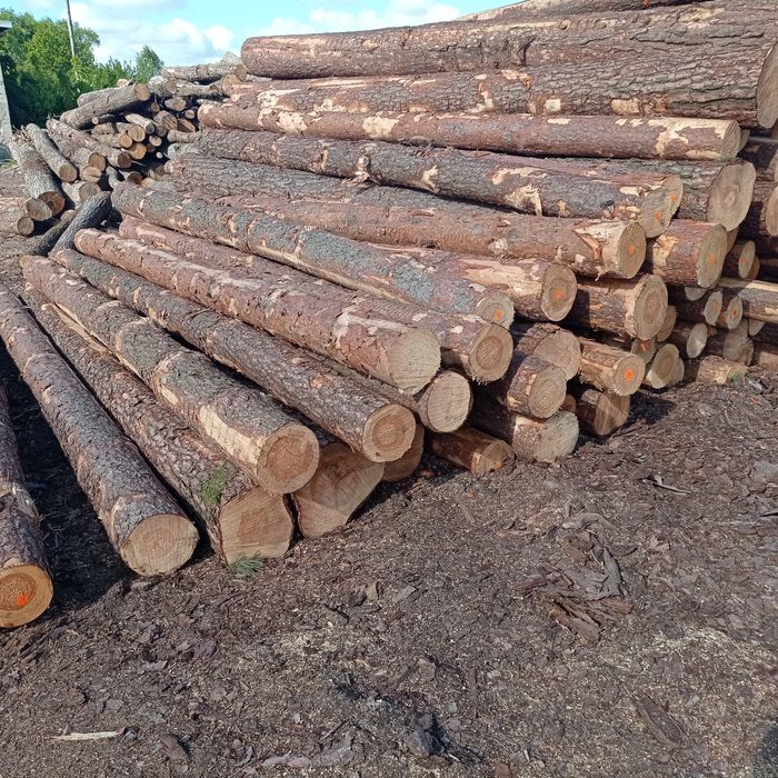 Drewno sosna świerk dąb opał deski kominkowe obladry zrzyny trociny