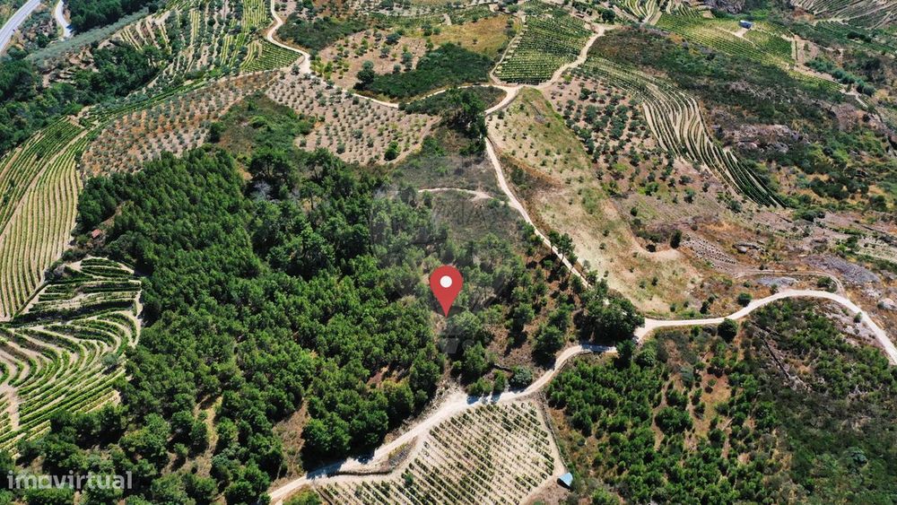 Terreno  para venda