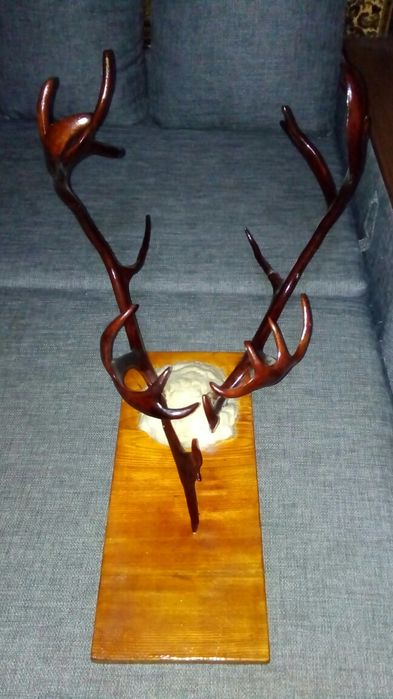 Продам рога оленя и ковры новые