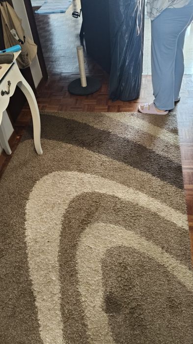 Carpete em ótimo estado