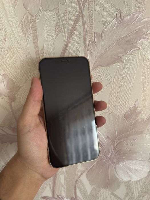 iPhone 12 Pro 256 GB