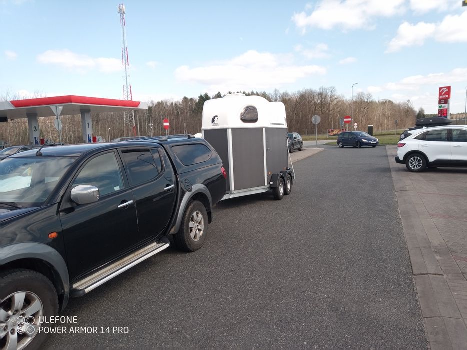 Transport koni okolice Wrocławia