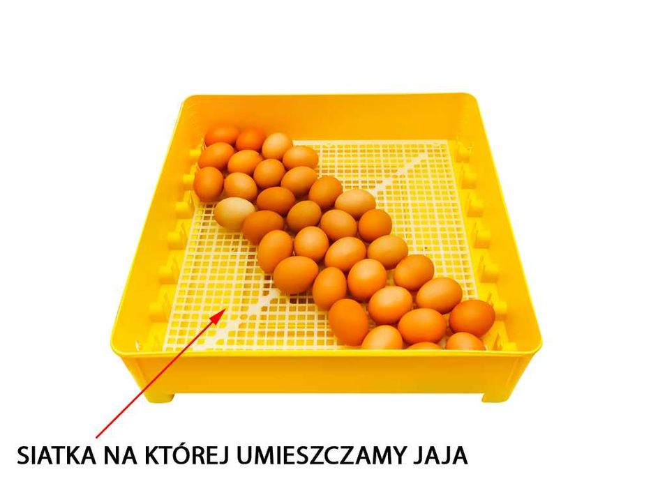 INKUBATOR 230V klujnik wylęgarka półautomatyczny 56/80 jaj +Instrukcja