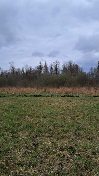 działka rolno leśna