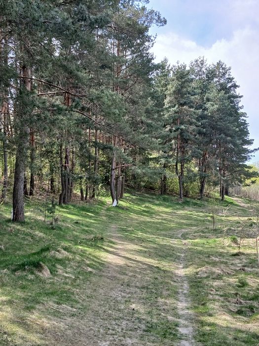 Він хутори 6500 дол. 4с продаж