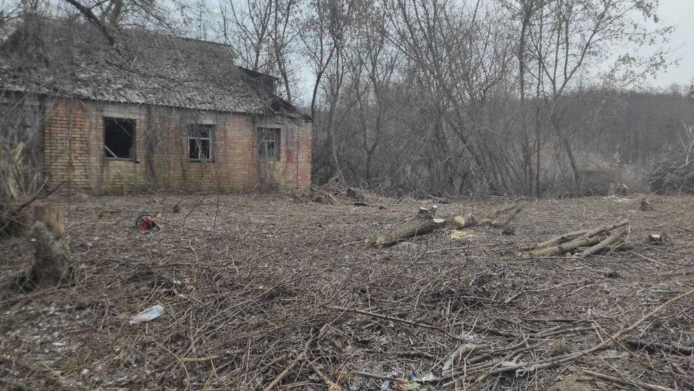 Розчистка території. Обрізка плодового саду. Послуги садівника