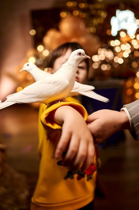 Нестандартна програма! Аніматори! Дитячий день народження!