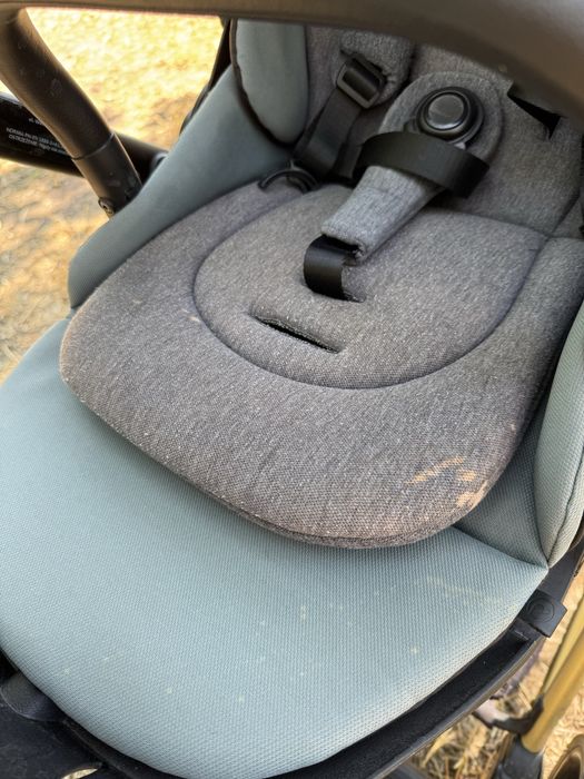 2 в 1 Roan Ivi Pine Green Gold 2024