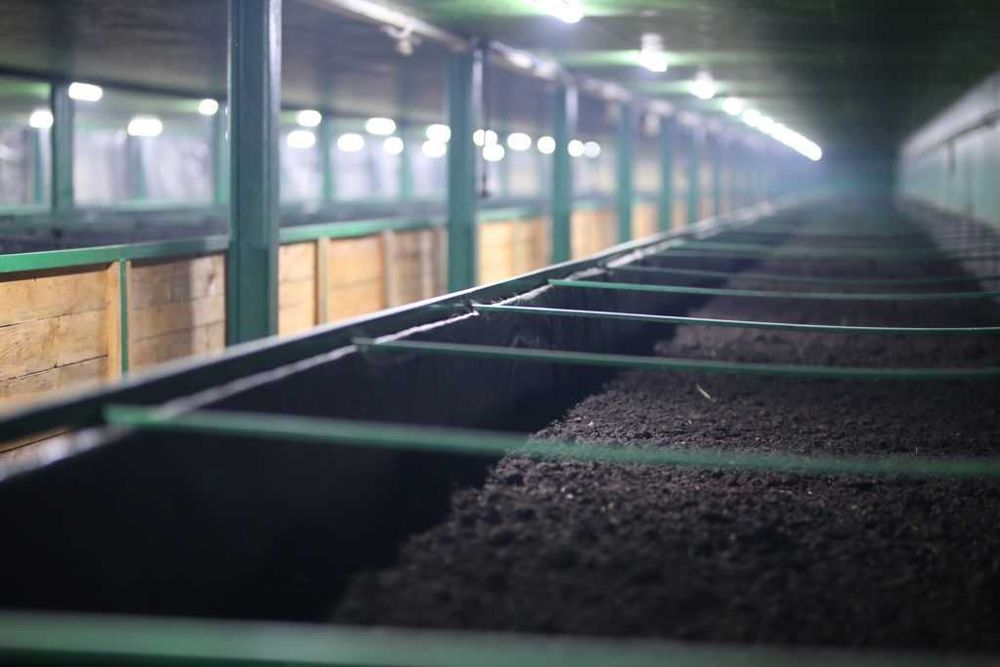 Продам готовый бизнес по розведению овец