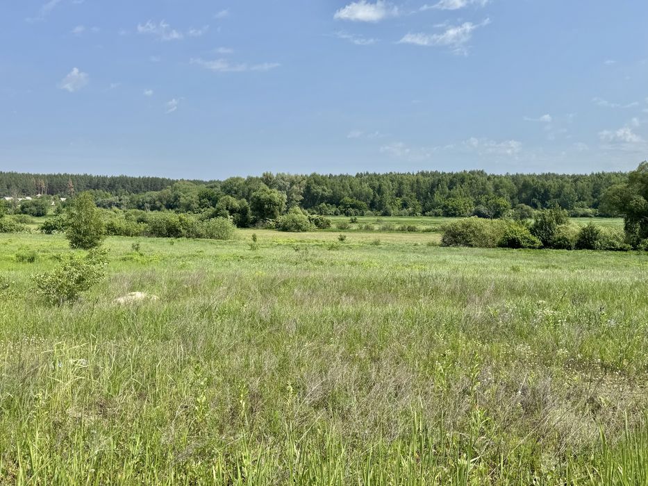 Продам 82сотки землі !!!  с.Мироцьке