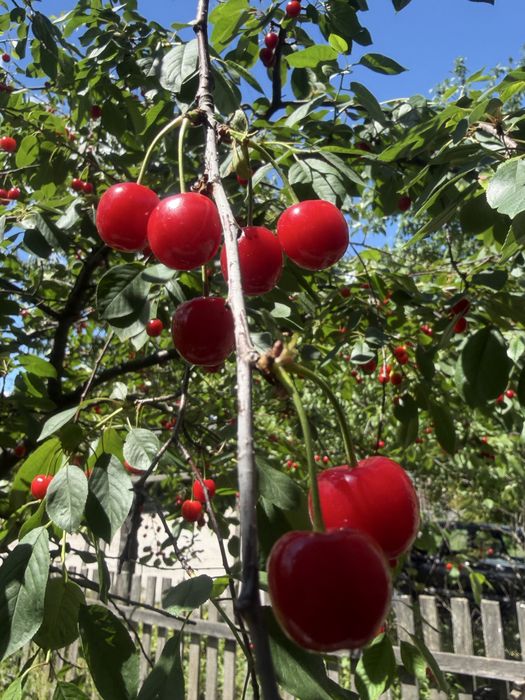Продаж 3х кімнатної квартири