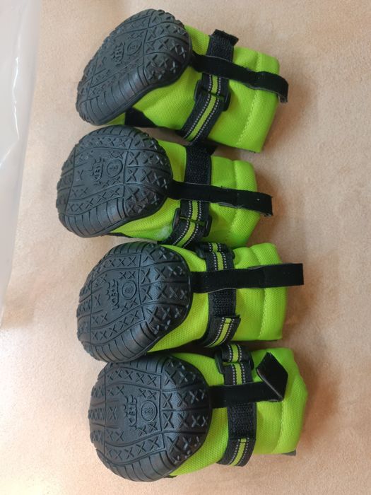 Обувь для собаки.