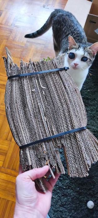Recicle papelão e crie arranhadores para o seu gato!