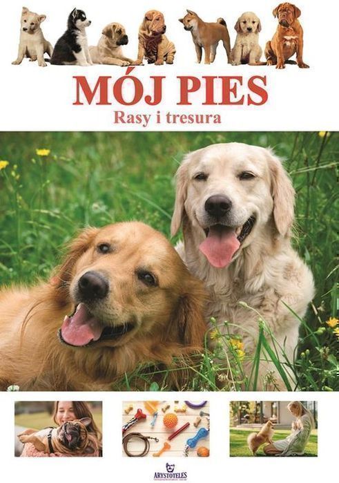 Mój Pies Rasy I Tresura