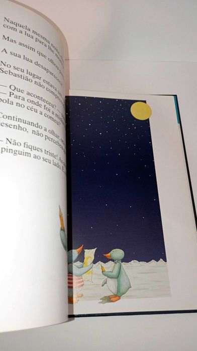 Sebastião- Rosy Gadda Conti