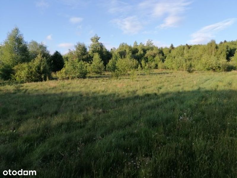 Działka na sprzedaż 1,07 h Huta Szklana, Góry Świętokrzyskie - Widok 2