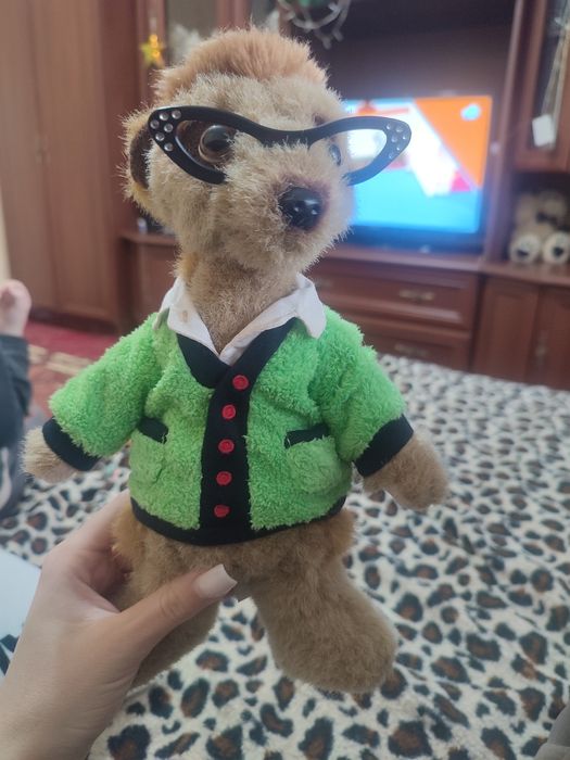 Сурикат учитель  !