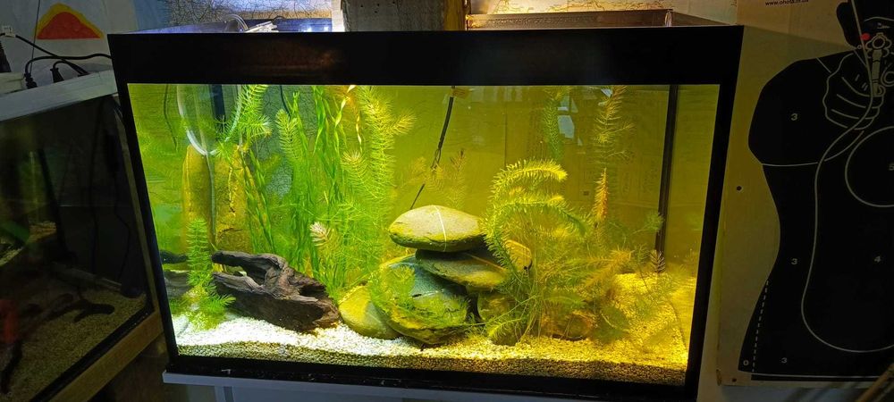 Vendo aquário com tampa, 130 litros