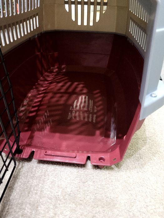 Transportadora animais