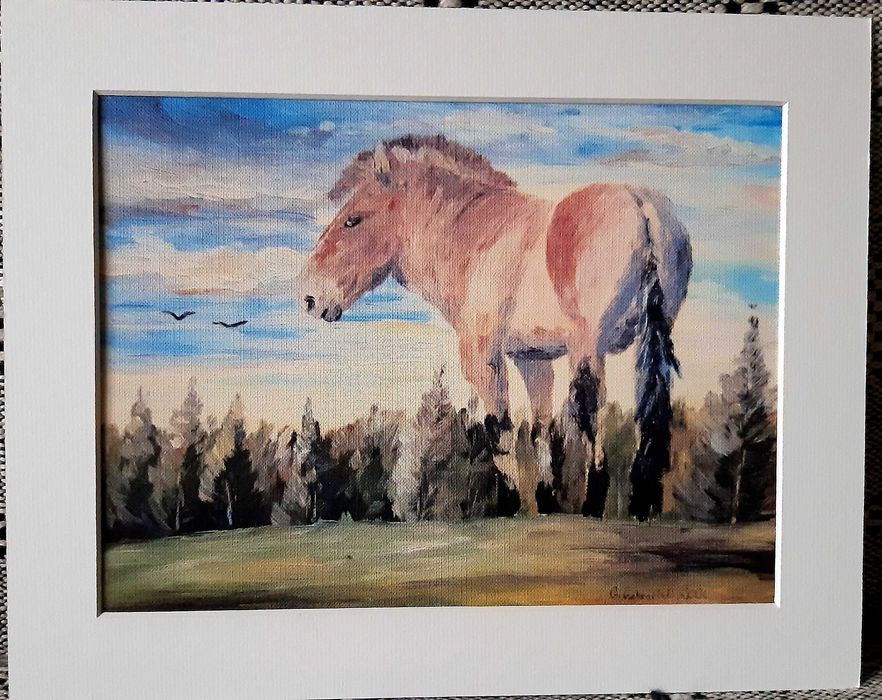 Inkografia Koń Przewalskiego 2 Grzegorz Gabryelski