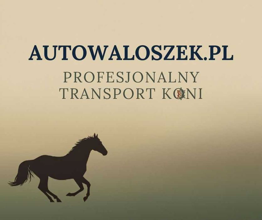 Transport Koni - TYLKO MY!!