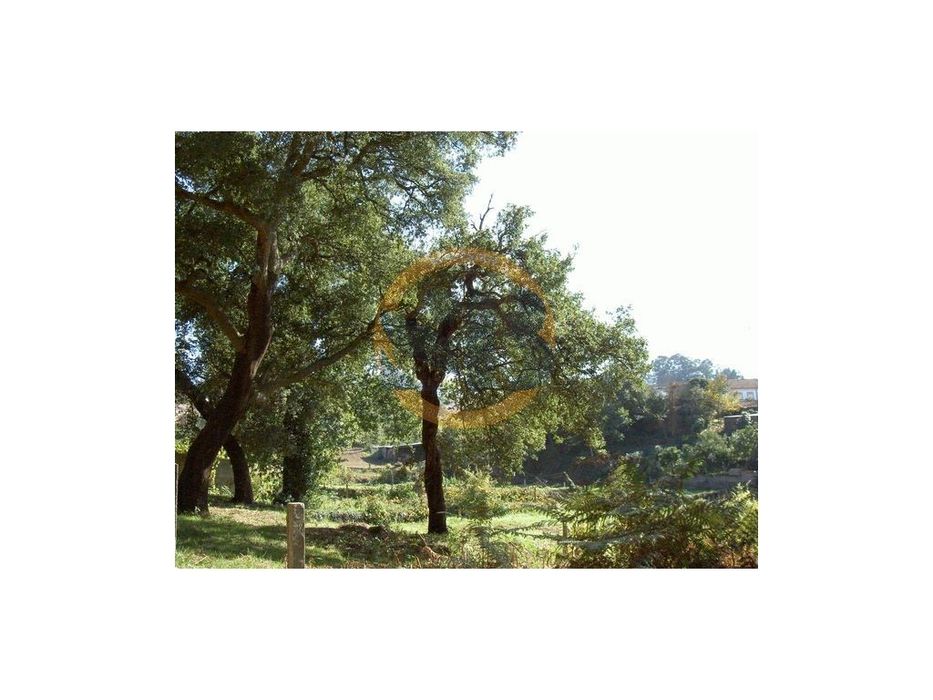 Terreno Mosteirô Santa Maria da Feira