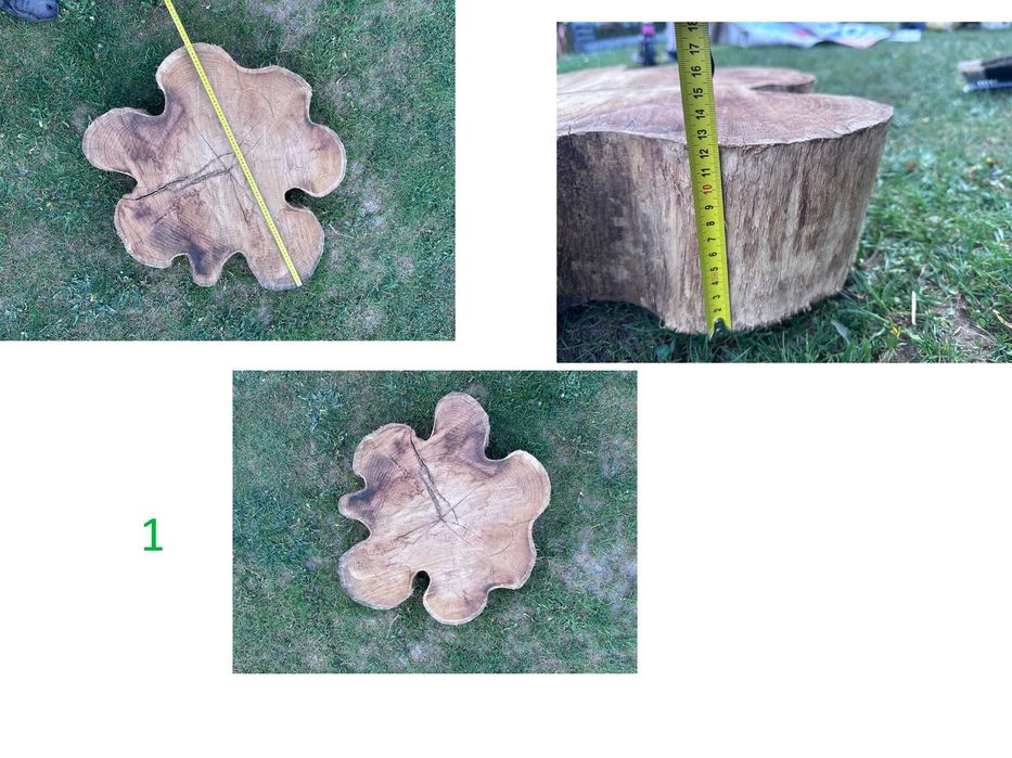 Plastry Akacjowe płaty akacji różne 50-70cm suche