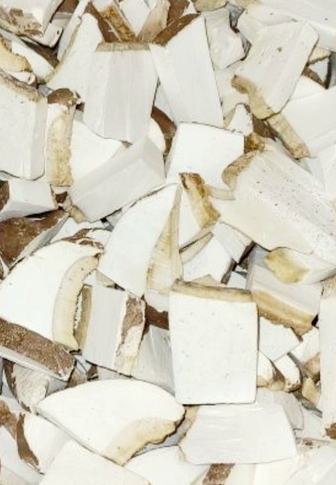 BIAŁOPOREK BRZOZOWY.  Suszony całość 350g