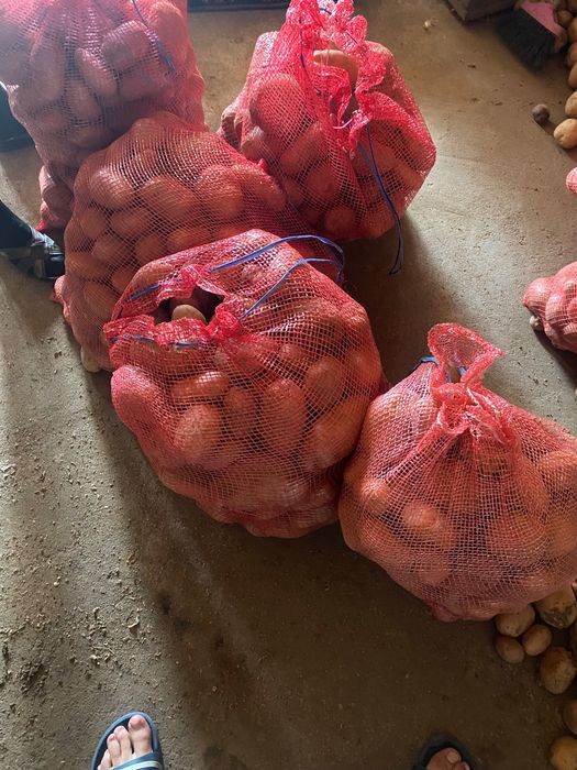 Vendo Batatas Caseiras