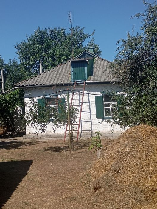 Сдам дом Петриковка