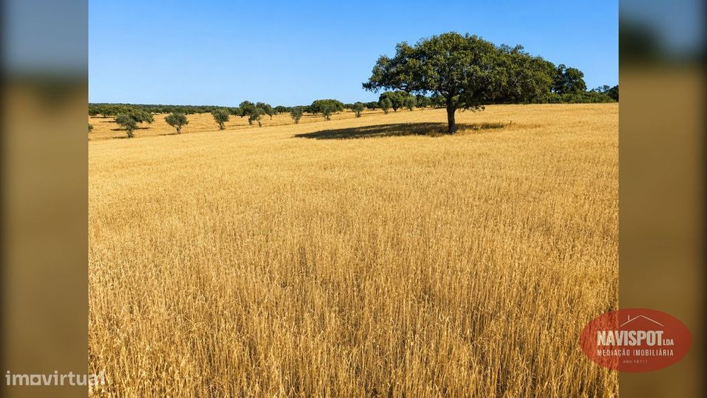 Herdade com 750 hectares no Alentejo