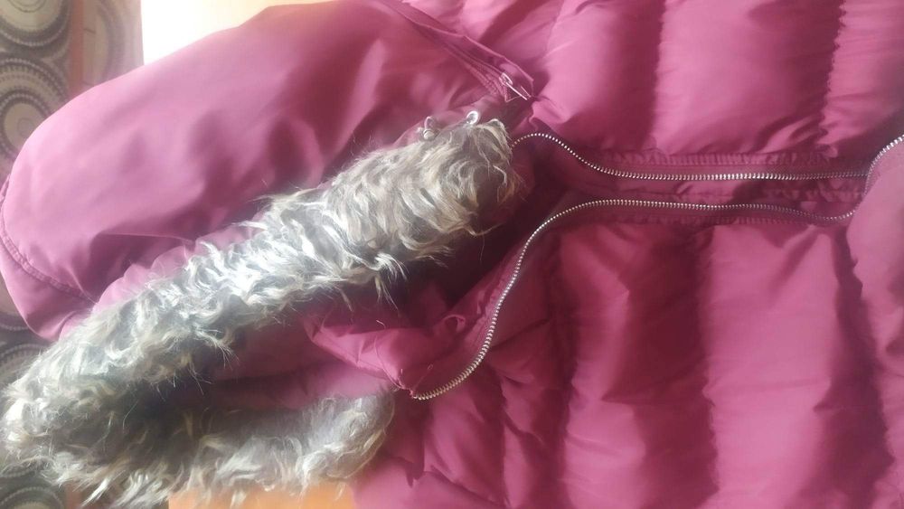 sprzedam kurtkę damska zimowa