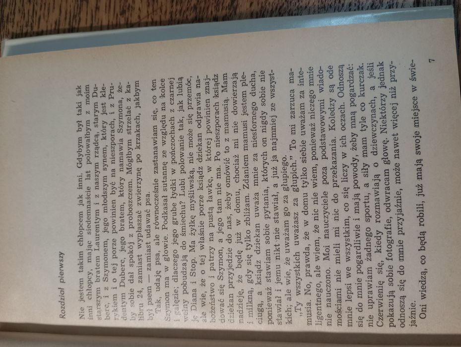 Młodzieniec z dawnych lat. Maltaverne. François Mauricias