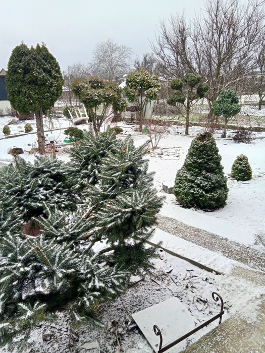 Сдам дом длительное