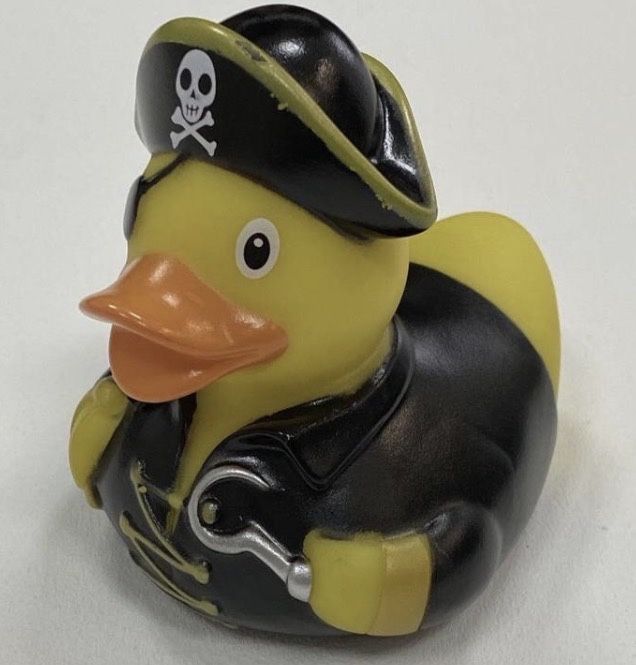 Funny ducks , качка  -  пірат