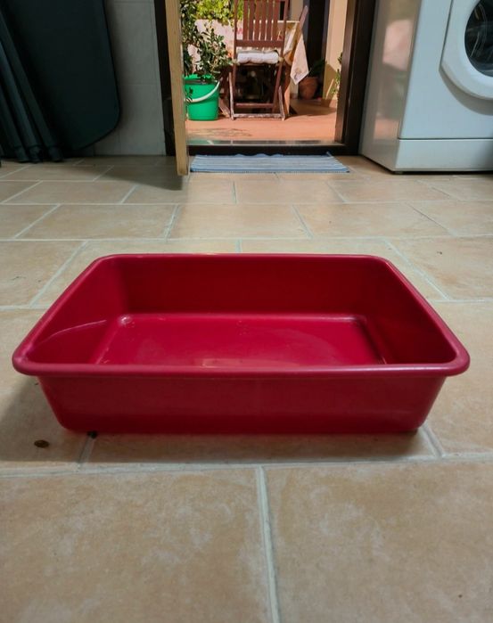 Caixa de areia para gatos