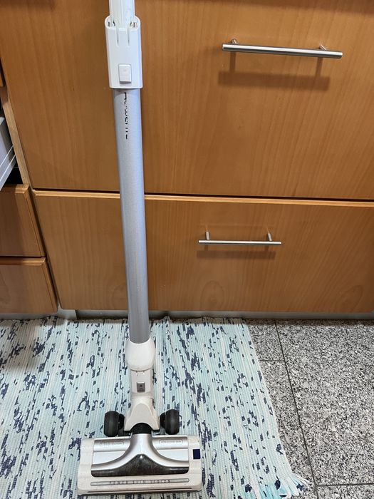 Aspirador vertical Air force Rowenta