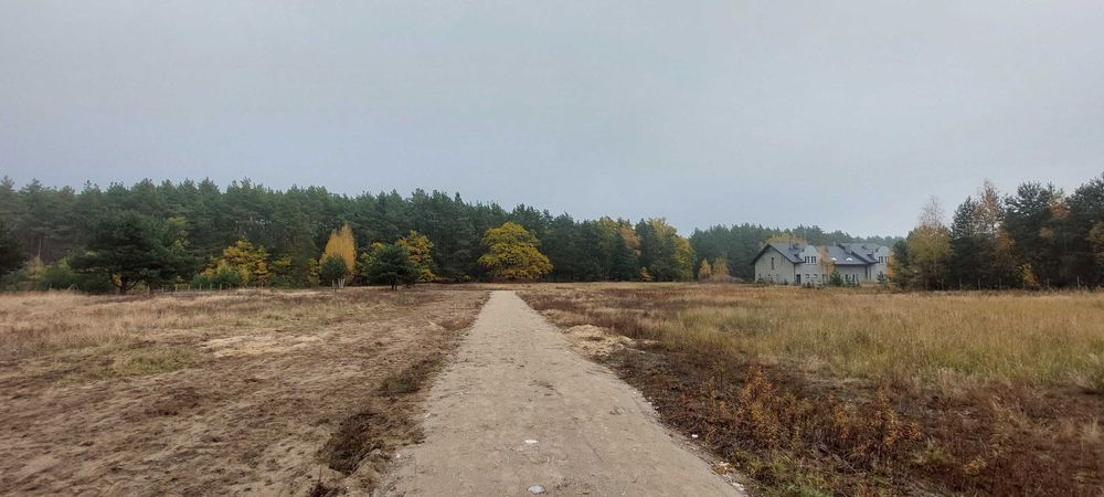 Przepiękna działka z lasem w Dobieszu - Widok 6