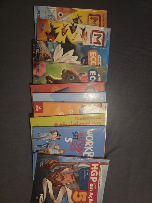 Vários livros 5° Ano