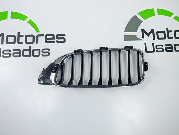 Grelha BMW Serie 4 Usada Original F32, F82