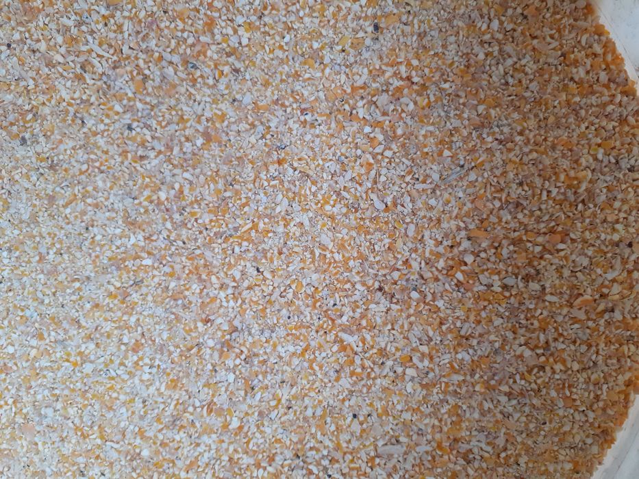 Kukurydza: gnieciona,mielona,kukurydza drobna