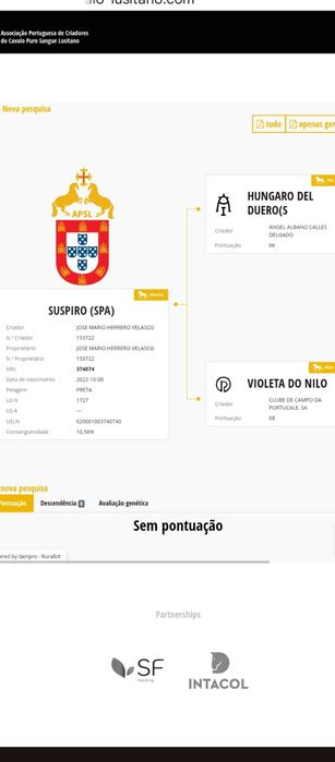 Potro PSL Negro, con libro azul