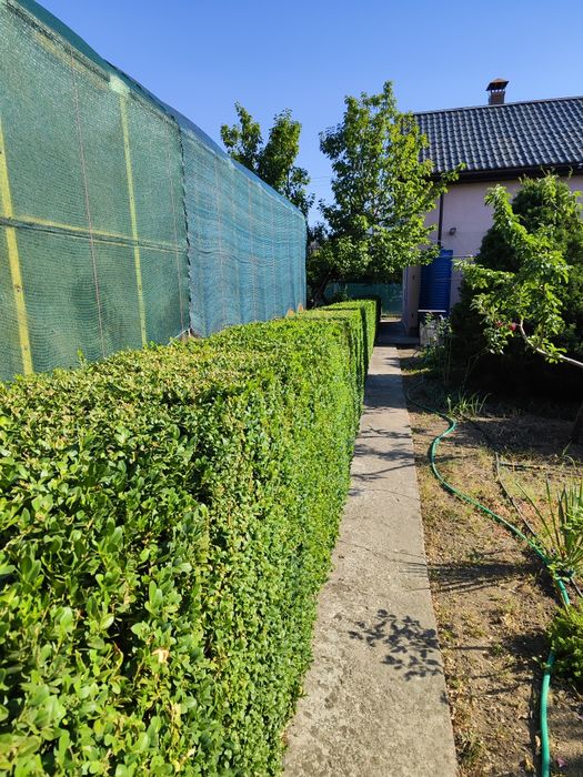 Продажа дома от владельца