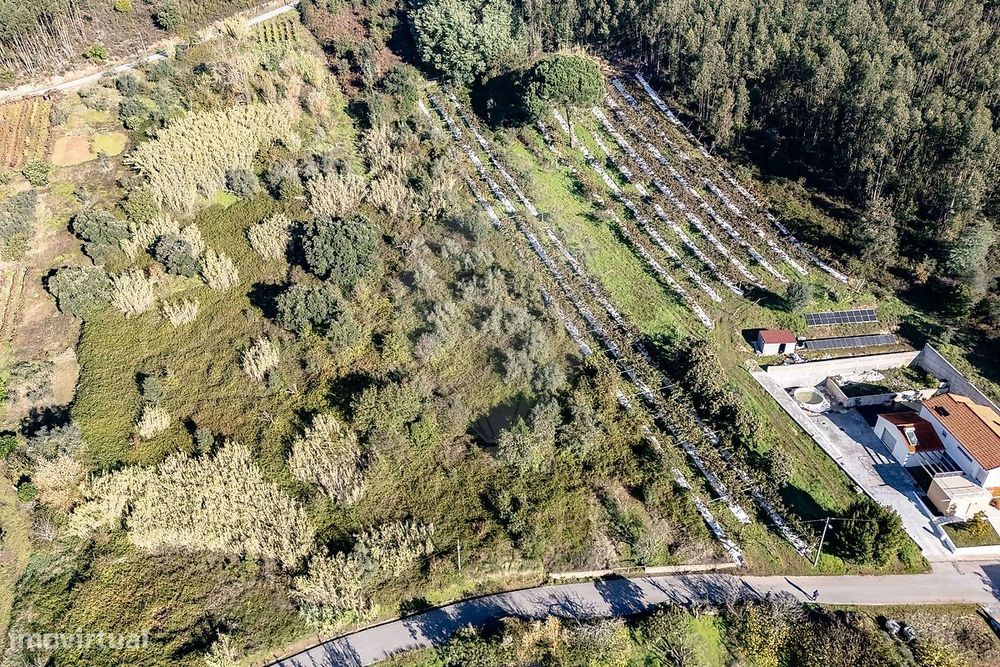 Terreno  para venda