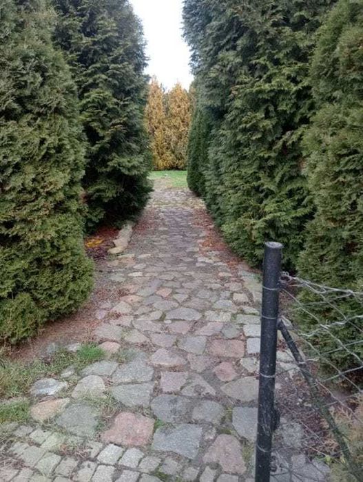 Budynek warsztatowo - biurowy